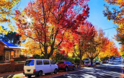 Contested Wills and Will Dispute Lawyers Leura and Blue Mountains
